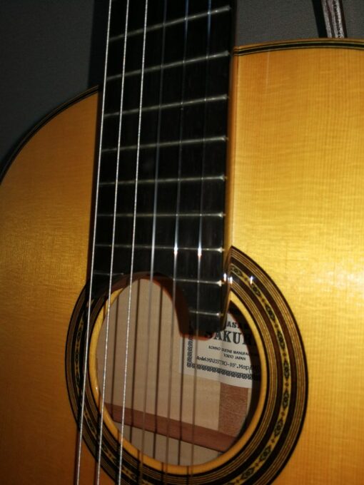 桜井マエストロレイズドフィンガー