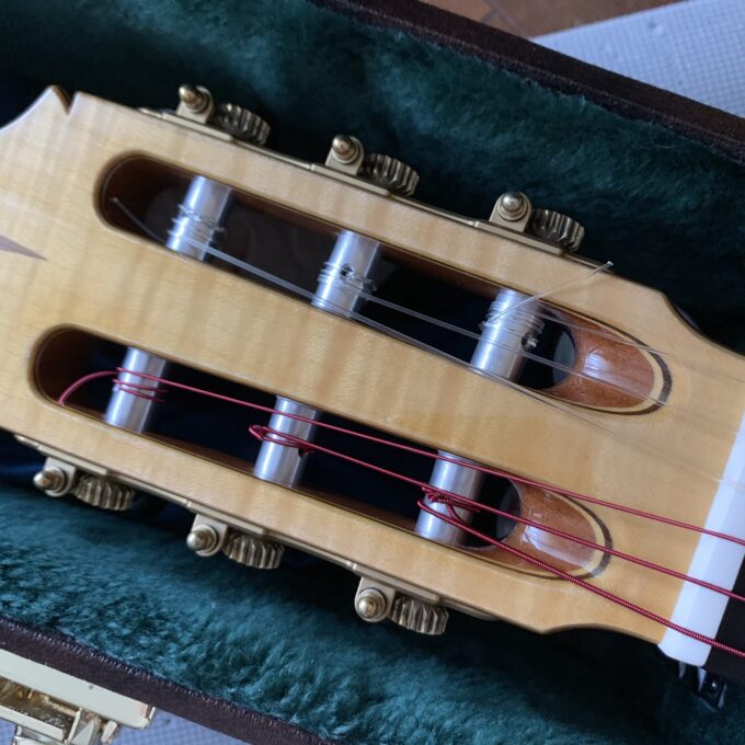 伸びやすいアクイーラシュガー