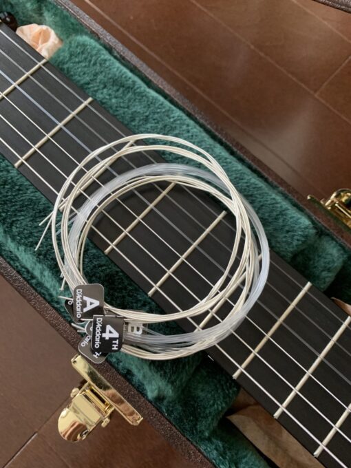 プロアルテEXPノーマルと普通の弦の比較