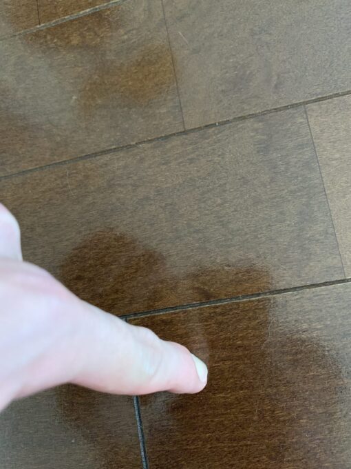 指先で弦を押さえた場合