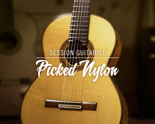 KONTAKT音源 SESSION GUITARIST - PICKED NYLON
