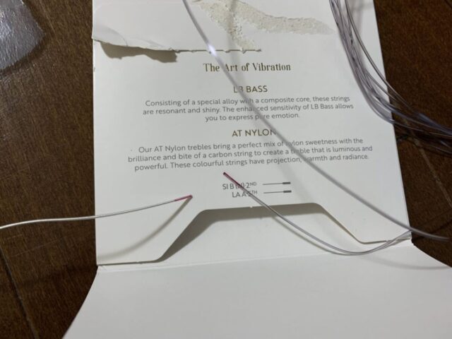 ノブロックのレオ・ブローウェル弦の2弦と5弦