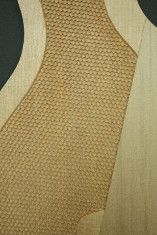 クラシックギターのダブルトップ表面板の構造