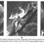 使い古したオーガスチンレッドの4弦を走査型顕微鏡で撮影した画像