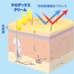 ケロデックスクリームで肌荒れから守る