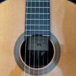 ヘスス・ベレサール・ガルシアのロゼッタ