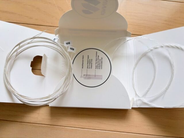 Winner WR166-Nの弦